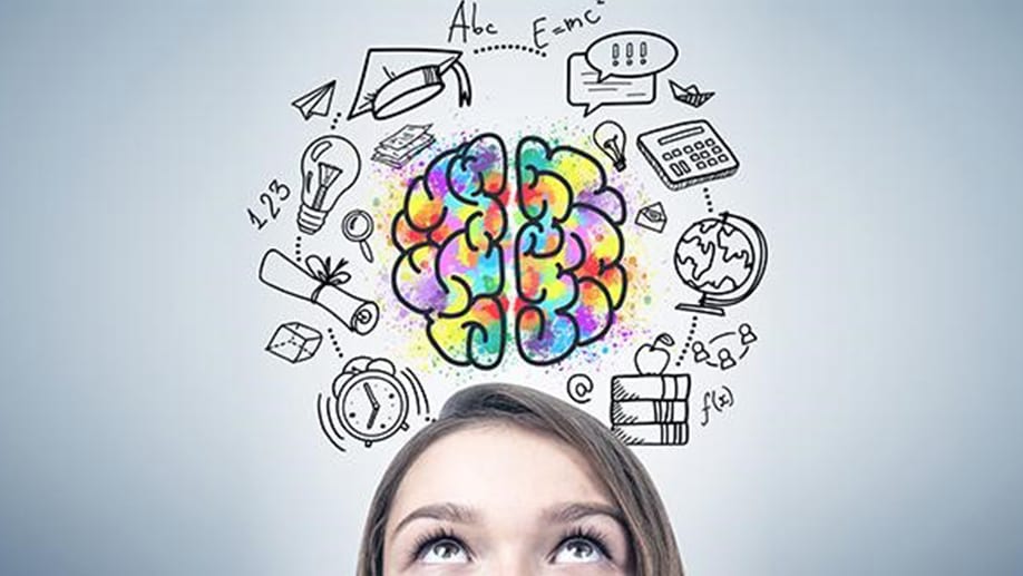 Neurociência x Educação: como o cérebro aprende?